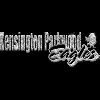 GLT1 SILVER GLITTER Thumbnail